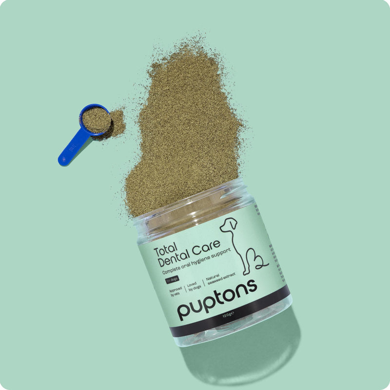 Puptons Total Dental Care for Dogs | Tartar & Plaque Off Powder - No Brushing | Supports Oral Hygiene & Treats Gum Disease | Treatment for Bad Breath & Removes Plaque | Measuring Scoop Included, 60g 60 Grams
