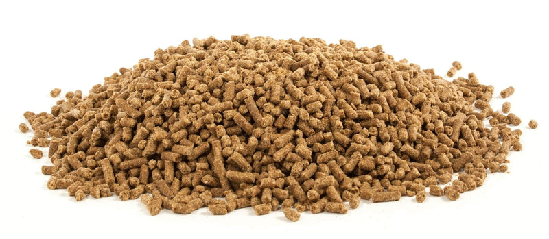 UltraCruz Equine Natural Vitamin E Plus Supplement for Horses, 2 lb Pellet (13 Day Supply) - BeesActive Australia