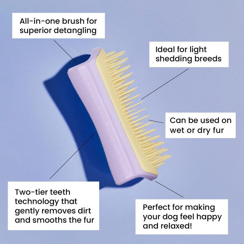 Pet Teezer by Tangle Teezer Detangling Dog Grooming Brush, Dry Brush & Dog Bath Brush for Wet or Dry Fur & Light Shedding Breeds, Small, Lilac/Yellow Lilac & Yellow Small Detangling - BeesActive Australia