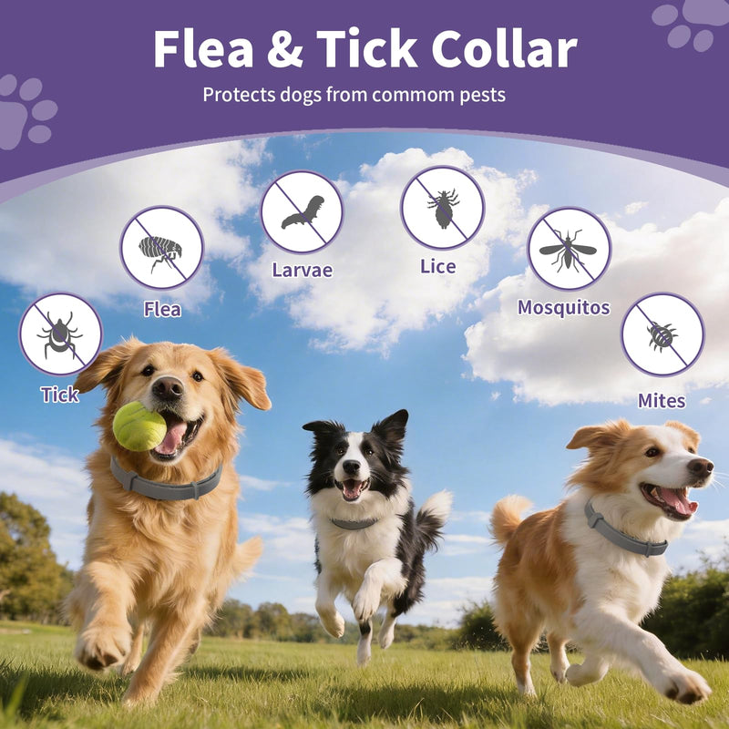 Wiiks&Wooks Flea and Tick Collar for Dogs, 5 Packs Flea Collar for Dogs for 40 Months Protection, Waterproof & Adjustable Flea and tick Prevention Collar for Small Medium Large Dogs & Puppies, Grey 5 Pack Flea Collars
