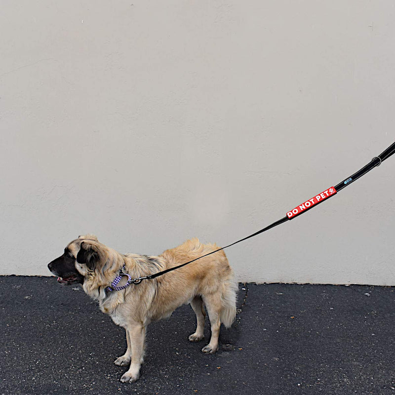 Max and Neo Leash Sleeves DO NOT PET - We Donate 1 for 1 to Dog Rescues for Every Product Sold (Single) 1 SLEEVE - BeesActive Australia