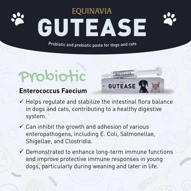 Equinavia GutEase Digestive Support Paste for Dogs & Cats – with Probiotics, Prebiotics, Glutamine, and Pectin – Easy Oral Supplement in 15ml or 30ml Syringe - 1 oz (30 ml) - 1 oz 1 oz (30 ml)