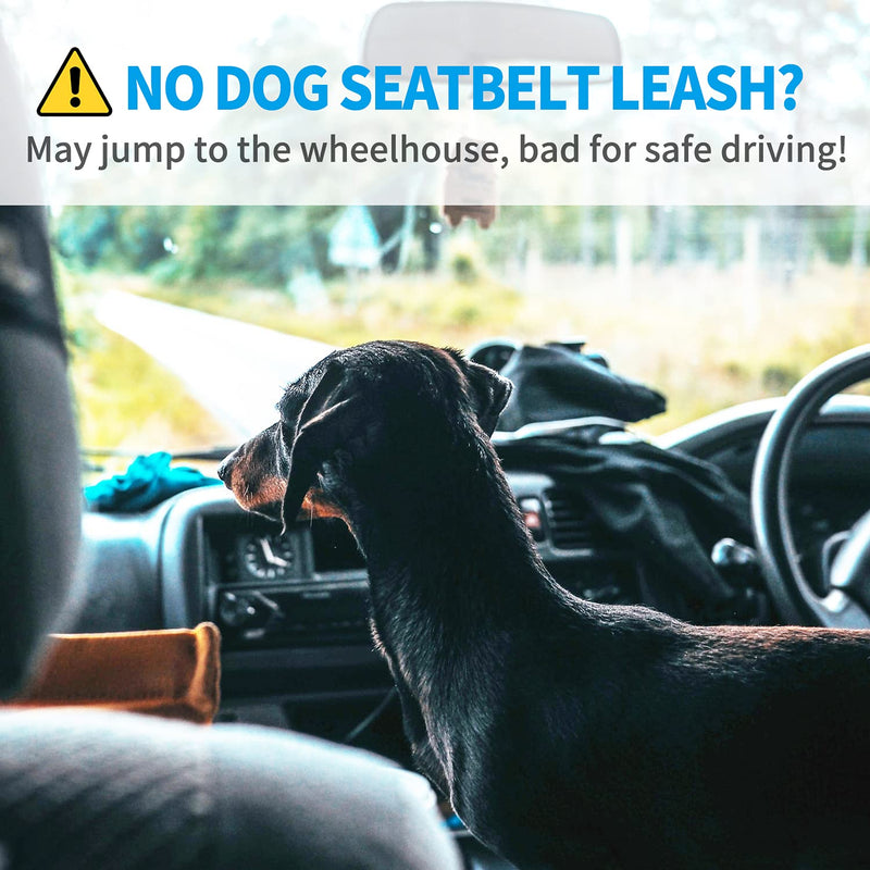 BAAPET Dog Seatbelt Leash for Cars, 2-Packs Pet Safety Seat Belt Harness with Shock Absorbing Bungee and Reflective Threads for Car Dogs Restraint (Black+Grey, Standard+Standard) Black+Grey (Standard+Standard) - BeesActive Australia