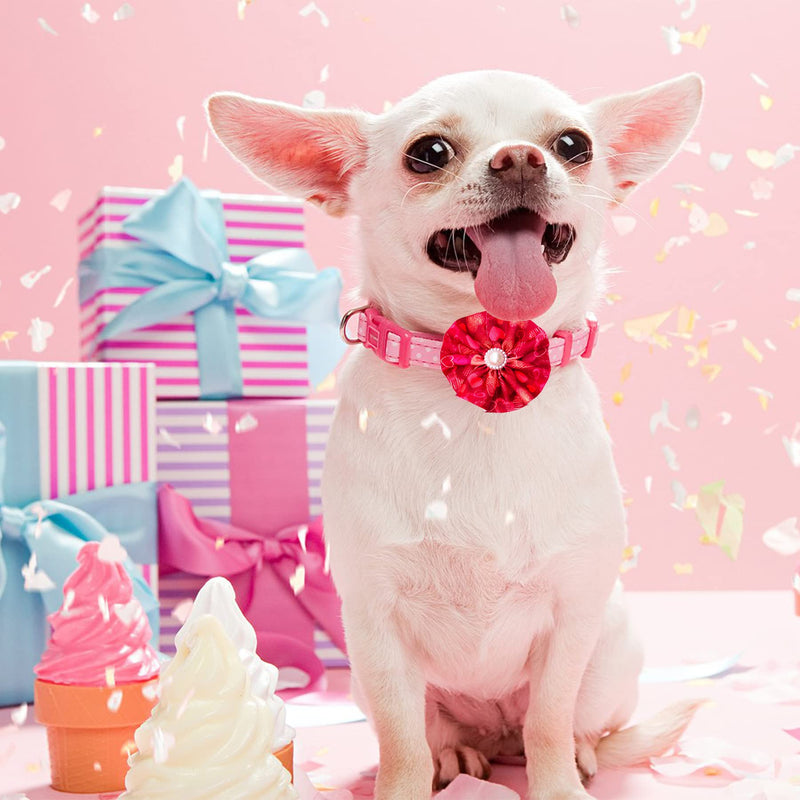 12pcs Small Dogs Collar Flowers Pink with Beads for Valentine's Day for Puppy Doggy Cat Kitten Rabbit Bunny Grooming Attachment Embellishment - BeesActive Australia