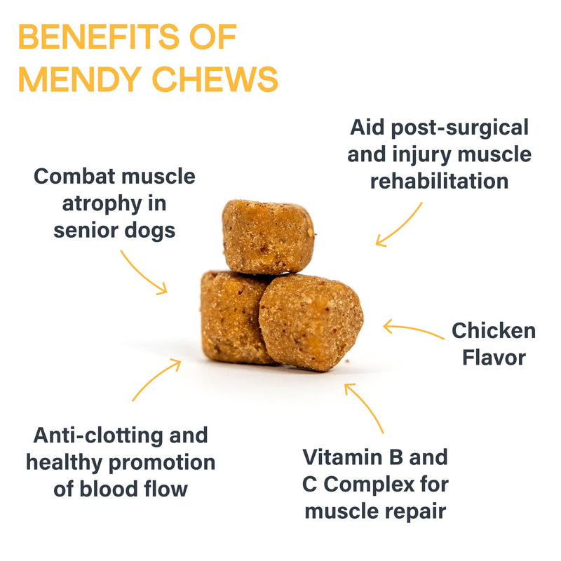 KVP Mendy Chews Multivitamin Treats for Dogs - Joint Support + Muscle Recovery - Recovery and Wellness Chew - Chicken Flavor - 60 Count - PawsPlanet Australia