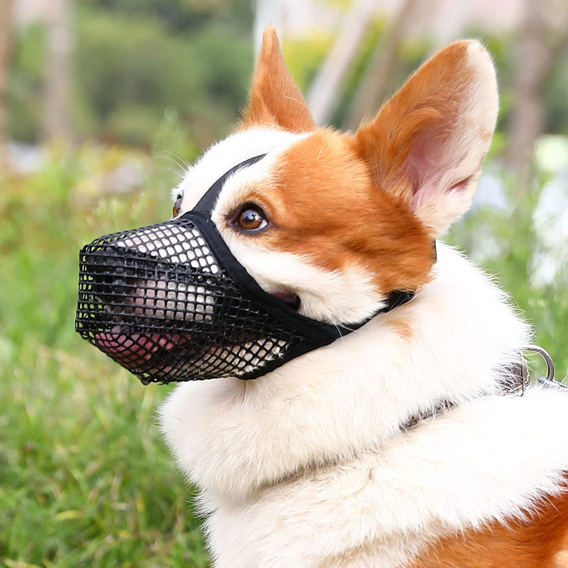 Muzzle mesh, muzzle for dogs, rounded mesh, muzzle for medium dogs, mesh muzzle for dogs, muzzle for dogs, adjustable for small, medium and large, prevents biting, chewing, M, black - BeesActive Australia