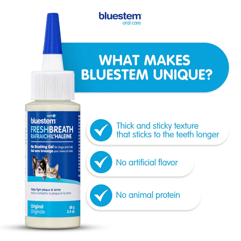 bluestemTM No Brush Dog Dental Gel - Dog Oral Gel to Freshen Breath, and Fights Plaque and Tartar - Brushless Toothpaste for Dogs Original 2.4 Ounce (Pack of 1) - PawsPlanet Australia