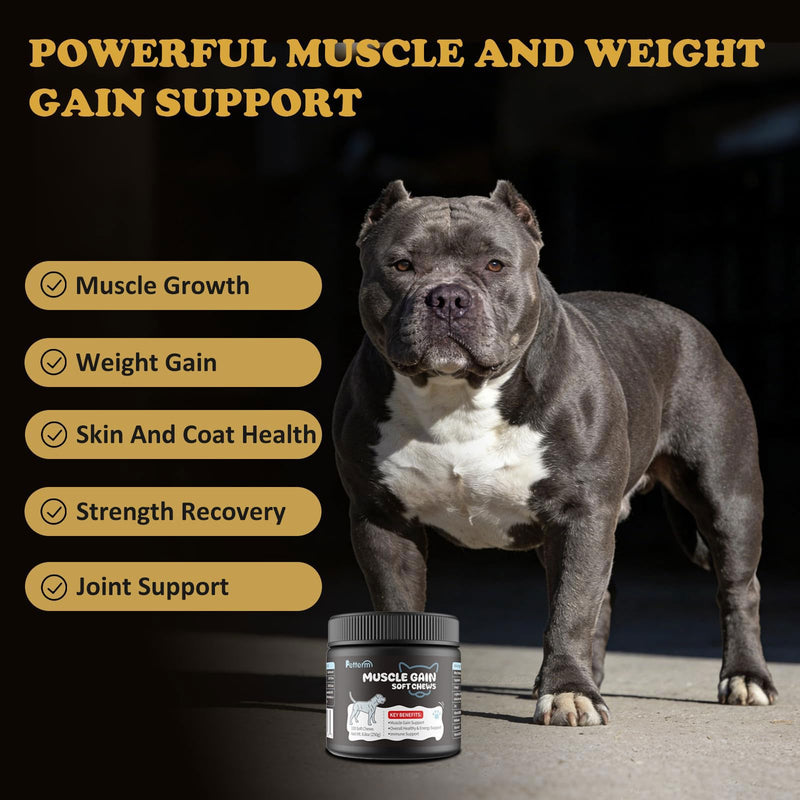 Dog Weight Gainer Supplements - Muscle Builder Chews for Lean Mass - 800mg Whey Protein & BCAAs - High Calorie Food Topper for Picky, Active & Underweight Breeds (100 Ct)
