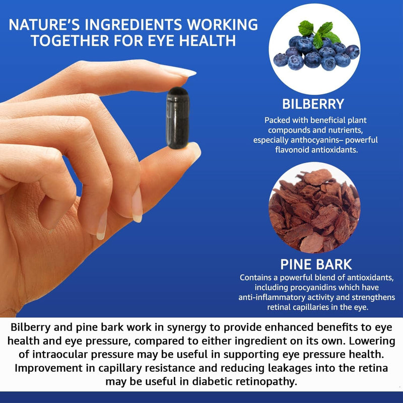 Vision Defender BP - Bilberry & Pine Bark Eye Supplement, 60 Vegan Capsules | Eye Pressure & Eye Health Support, Anthocyanin & Procyanidin Antioxidants, 1-2 a Day, 1-2 Month Supply, Gluten & Lactose Free