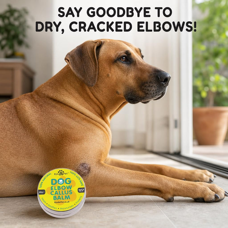 Dog Elbow Callus Balm Treatment Heal Soothe Moisturise Protect Cracked Dry Hard Damaged Rough Skin Lick-Safe 100% Organic All Natural Made in the UK 60g