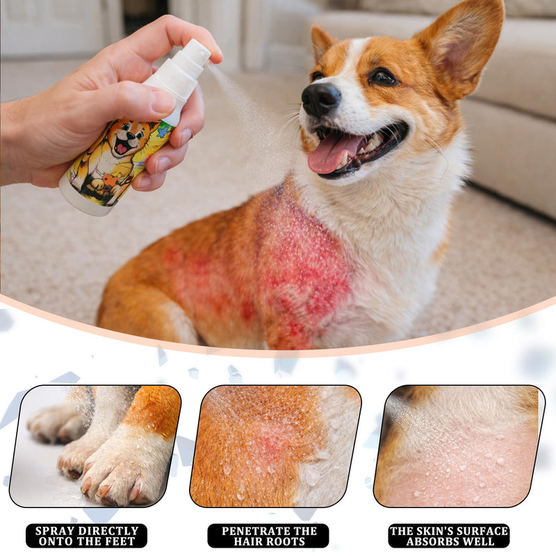Dog Hot Spot Spray & Anti Itch Spray for Dogs, 1.76 fl oz - Chlorhexidine for Itchy Skin Relief, Hotspot Treatment & Allergy Soothing for Dogs - Pet Skin Care for Itching Relief (1.76 oz) 1.76 oz