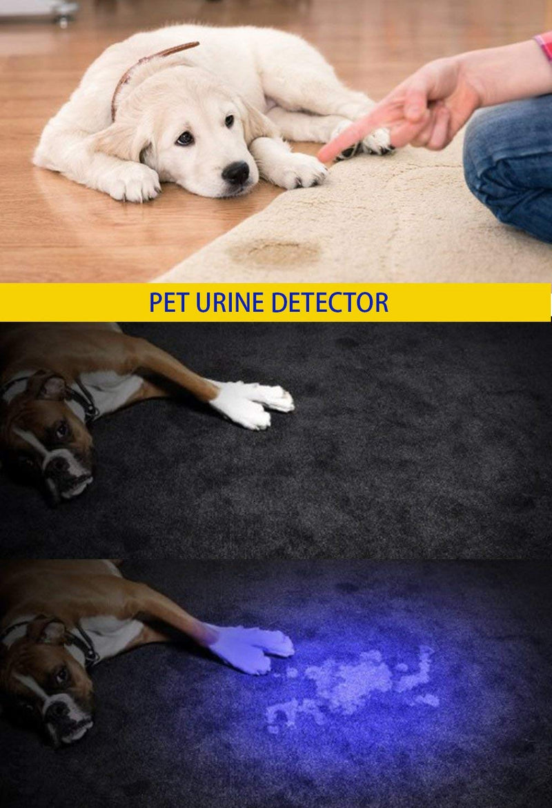 DARKBEAM UV 395nm Flashlight Ultraviolet led Light Blacklight Wood's lamp Portable 400nm Mini Detector for Dog/Cat Urine Pet Stains, Anti-counterfeiting Identification, Resin Curing, AA 395 SK68 UV Flashlight(1 pack) - BeesActive Australia