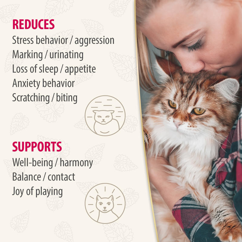 Felisept Home Comfort Cat Calming Refill 45ml - With natural catnip & no pheromone cat - Cat plug in calmer - Reduce undesirable behaviour & stress Home Refill Bottle