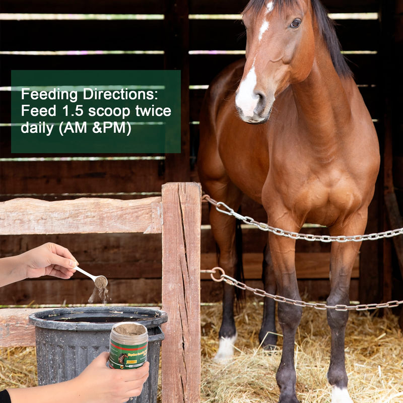 Insulin Resistance Supplement for Horses, Herbal Formulated for High Insulin, Chronic Laminitis, Cushing's Syndrome, Sore Feet, Blood Sugar Reduction & Metabolic Enhancement, 0.44 lbs - BeesActive Australia