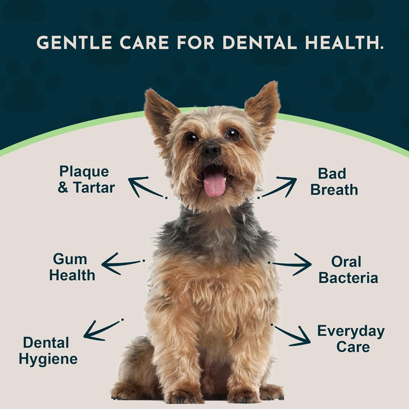 Animal Essentials SeaDent for Dogs - Kelp and Enzymes Plaque, Tartar Control Formula, Alpha Beta Amylase, Cellulase, Marshmallow Root, Slippery Elm Inner Bark, All Natural - 2.5 Oz (Pack of 1) - BeesActive Australia
