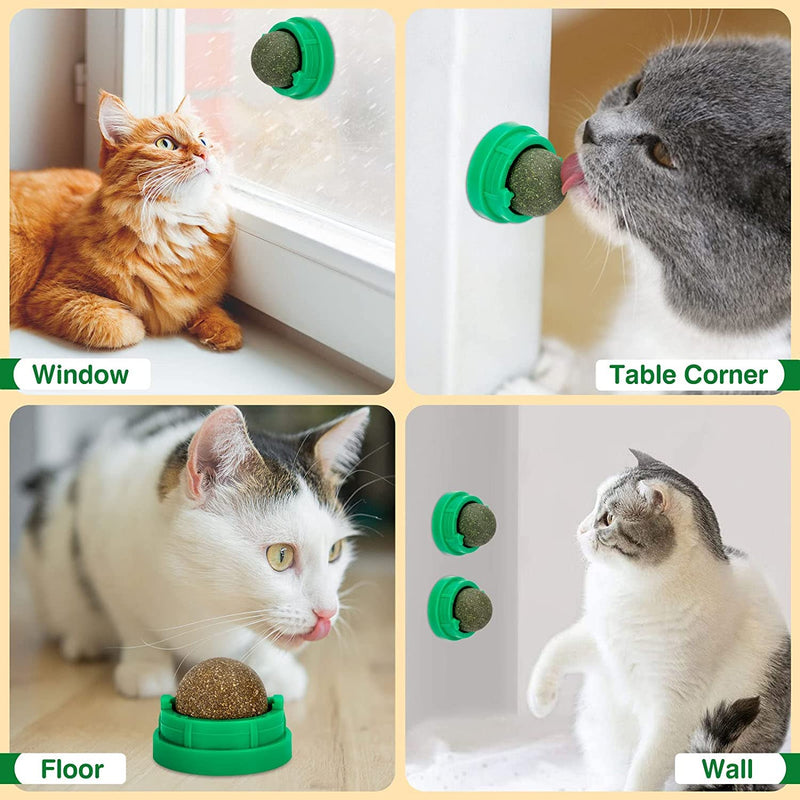 3 Pack Catnip Balls, Catnip Ball for Cats Wall, Edible Kitty Toys for Cats Lick, Safe Healthy Kitten Chew Toys, Teeth Cleaning Dental Cat Toys, Cat Wall Treats (Green) Green - BeesActive Australia