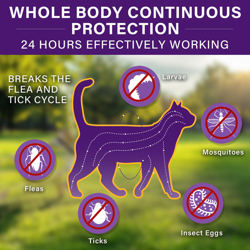 Tick flea collar for cats, flea collar for cats, effective protection for 8 months, adjustable and waterproof, suitable for all cats 1 piece - BeesActive Australia
