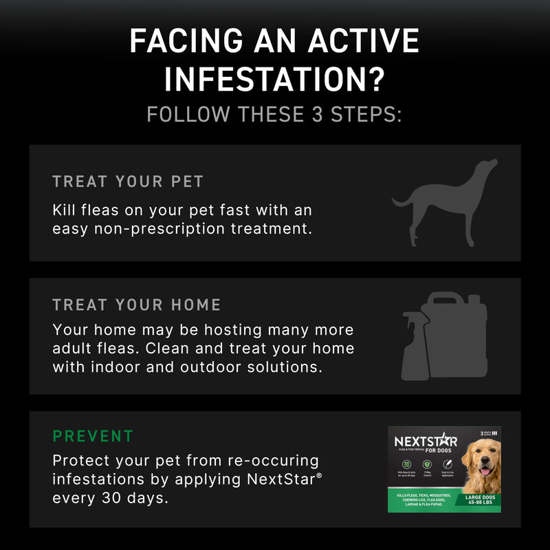 NEXTSTAR Flea and Tick Prevention for Dogs, Repellent & Control, Fast Acting Waterproof Topical Drops, Flea and Tick Prevention for Large Dogs, 1 Monthly Dose Large Dogs (45-88 lbs) 1 Dose
