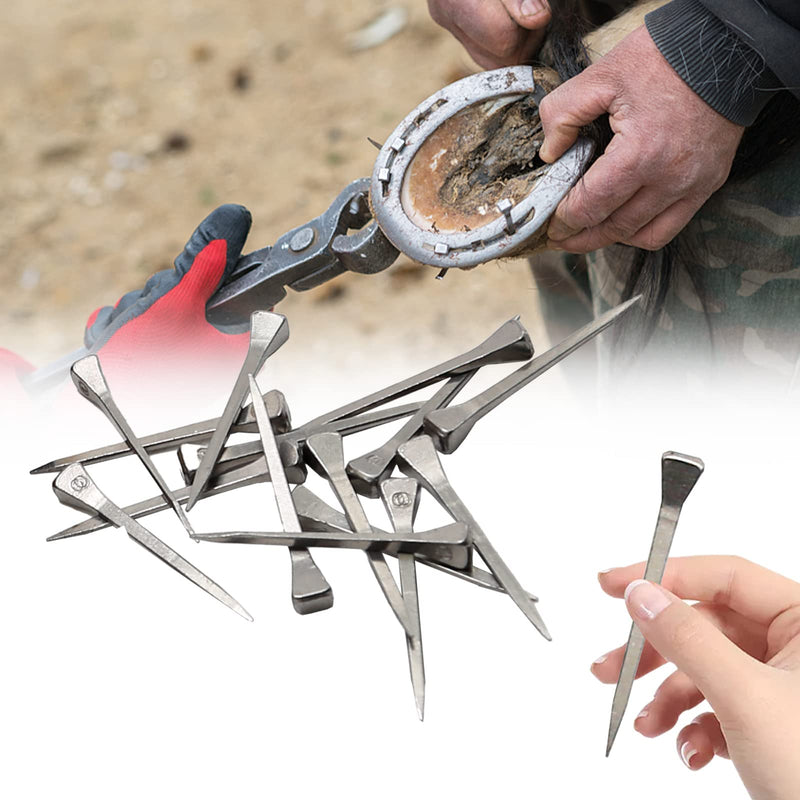250Pcs E5 Horseshoe Nails, Stainless Steel Horse Hoof Nails Horseshoe Nails for Securing Firmly - BeesActive Australia