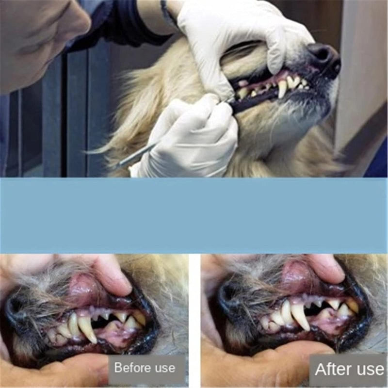 Elionless Pet Tooth Scaler Cleaning Set, 3 Pieces Stainless Steel Tartar Remover Plaque Remover for Dogs Cats - BeesActive Australia