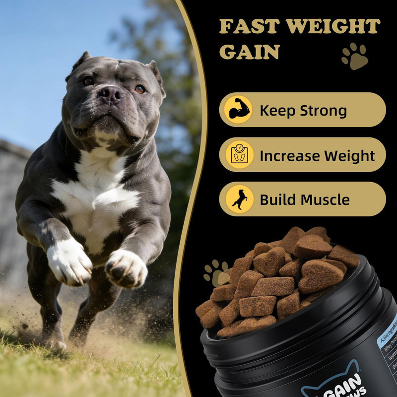 Dog Weight Gainer Supplements - Muscle Builder Chews for Lean Mass - 800mg Whey Protein & BCAAs - High Calorie Food Topper for Picky, Active & Underweight Breeds (100 Ct)