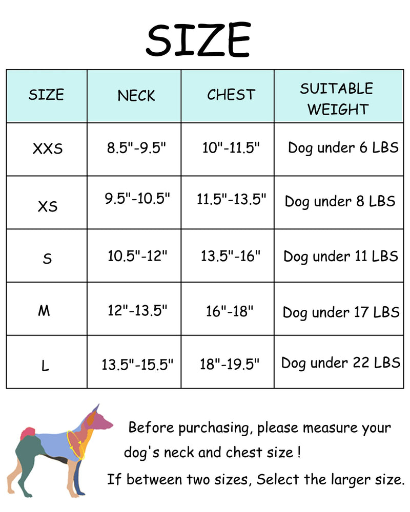 Petank Dog Harness for Small Medium Dogs No Pull, Puppy Harness and Leash Set, Easy Walk Dog Harness for Walking, Running, Training, Small Dog Harness, Medium Dog Harness (Pink, XXS) XX-Small Pink - BeesActive Australia