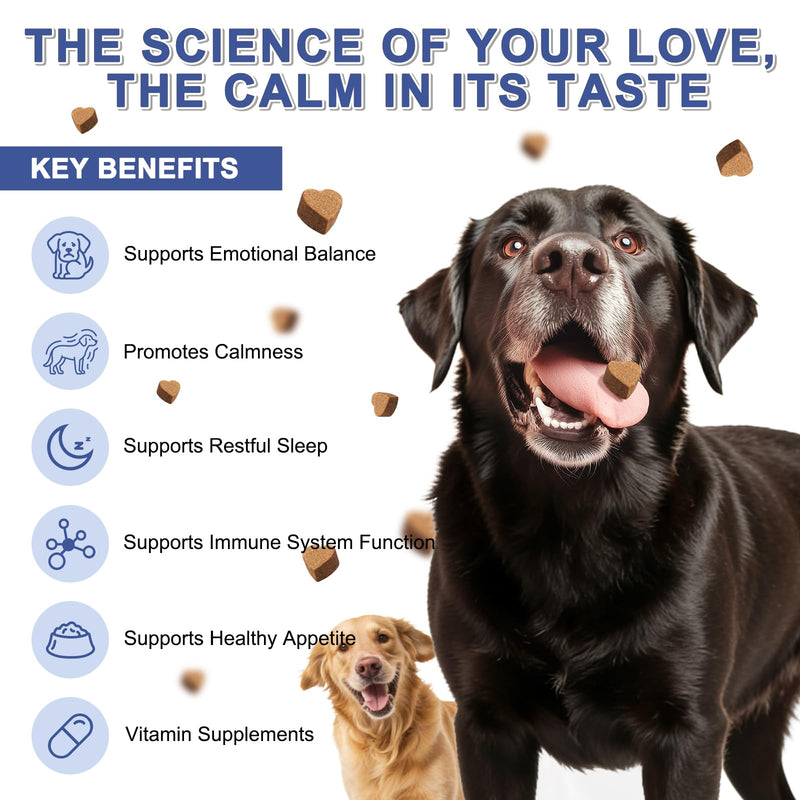 PETNANNY Calming for Dogs with GABA – Natural Hard Bites Supplement for Travel, Fireworks, Thunderstorm Stress & Nervousness (140)