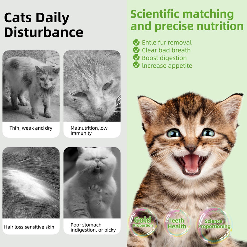 Cat Natural Grass Teething Sticks 100g, Cat Kitten Chew Sticks for Hairball Removal, Dental Care, Increase Appetite, Catnip Sticks Toys Cat Nip Treat Toys Edible Kitty Toys for Indoor Cats Kittens - PawsPlanet Australia