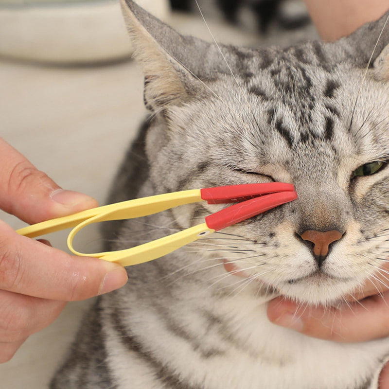 Effective Pet Eye Combs Tweezers Brush For Tear Residues Easily Removal Eye Stain Brush For Booger, orange