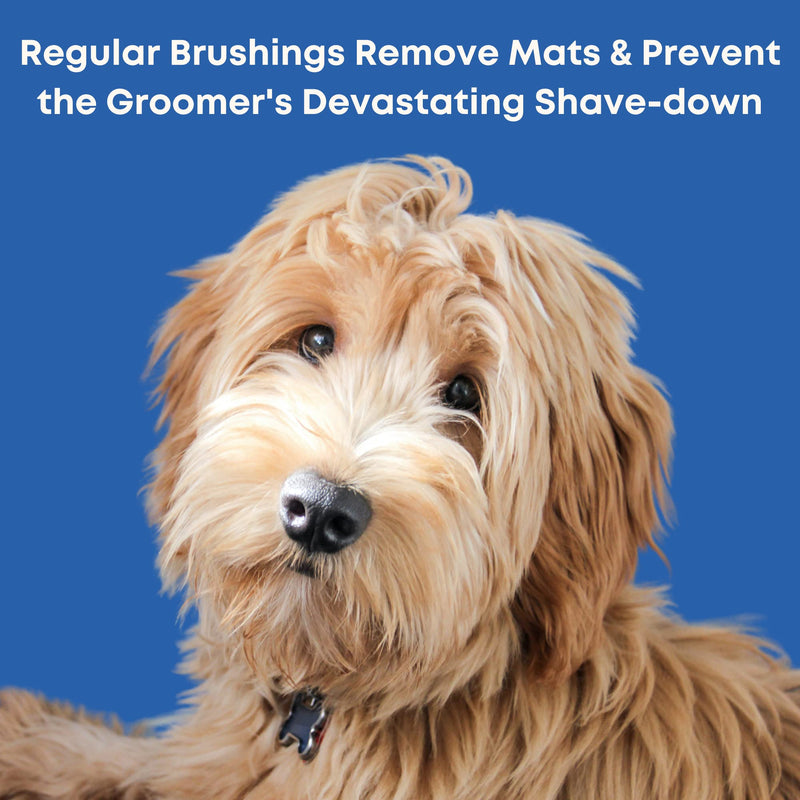 Doodle Slicker Dog Brush For Pet Grooming - Perfect For Goldendoodle & Poodle Hair Maintenance - Medium to Long Hair Breeds - Detangle, Brush, & Fluff Like a Pro - BeesActive Australia