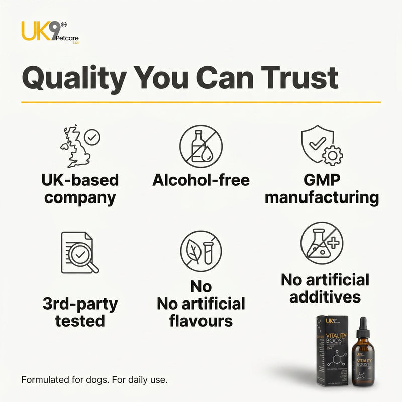 UK9 Vitality Boost, Immune Support Vitamins for Dogs, Wild Mushroom for dogs, with Chaga, Turkey Tail, Shiitake, Reishi and Maitake Mushroom Extract, Beta Glucan 60ml easy dosage liquid k9 drops.