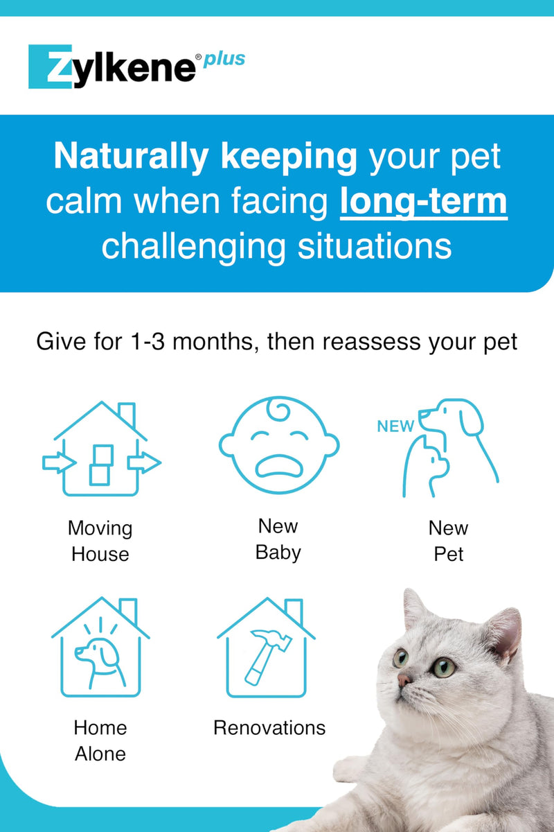 Zylkene Plus Calming Supplement for Cats & Dogs up to 10kg | Promotes Relaxation in long-term challenging situations: New baby, Home Alone, Moving house | Easily administered | 30 capsules Cats & Small Dogs