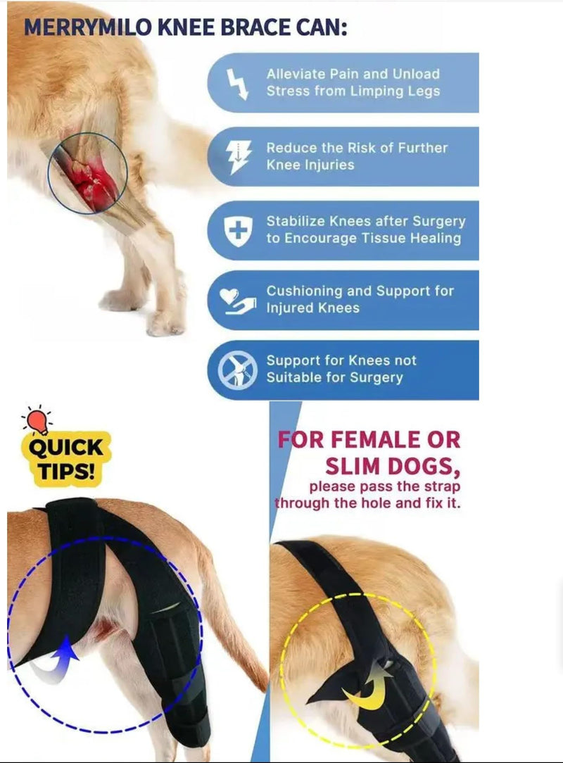Joint bandage for dogs for front and hind legs, leak protection and support after surgery, help with joint instability (s) S