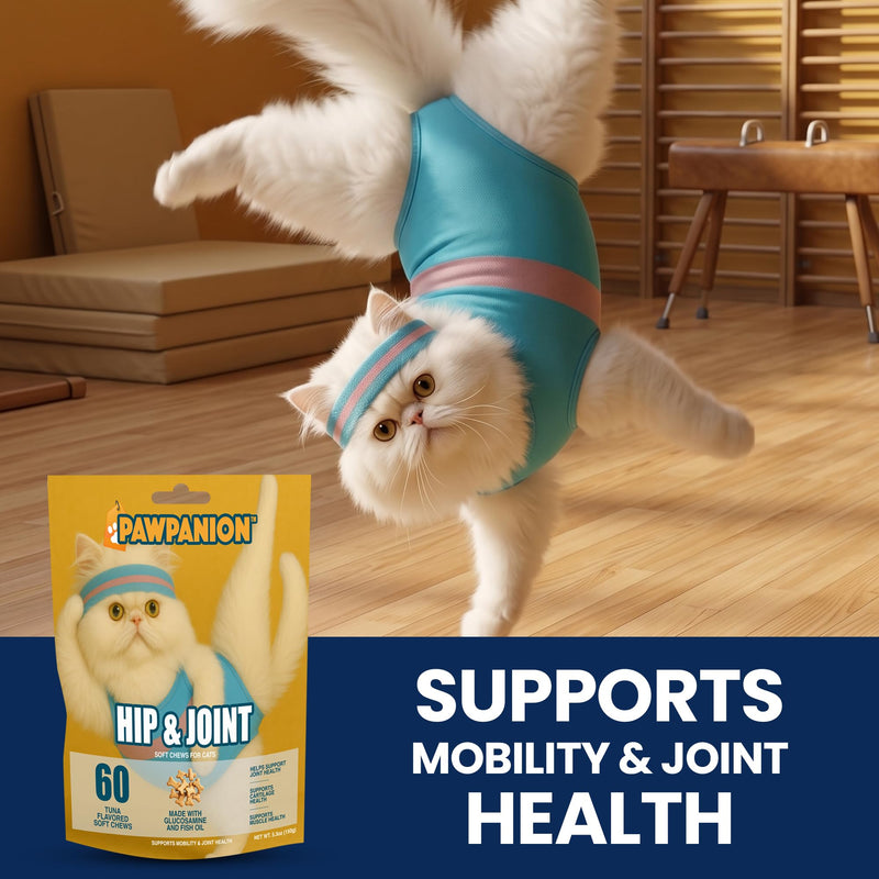 Hip & Joint Soft Chews for Cats, Glucosamine + Chondroitin + MSM, Joint Support & Mobility, Cartilage & Flexibility Support, 60 Soft Chews Tuna Flavor Hip & Joint