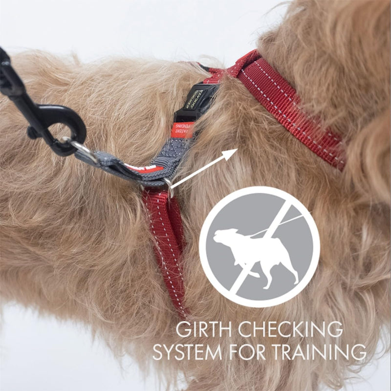 EzyDog Anti Pull Harness Dog - Crosscheck Dog Harness for Small, Medium and Large Dogs, Dog Training Accessories, Reflective, Size Adjustable (L, Green) L (58 - 80cm) - BeesActive Australia