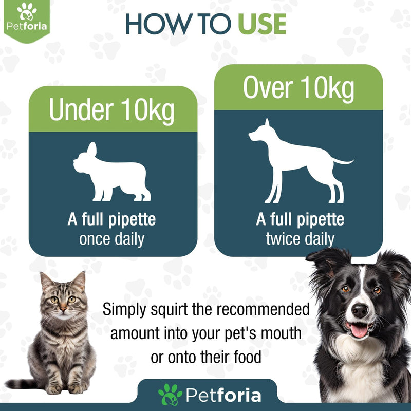 Dogs & Cats Joint and Hip Support Supplement 50ml – Fast Acting Natural Mobility Formula with Glucosamine Vitamin C and Herbal Extracts for Comfort Flexibility and Joint Care Pack of 1