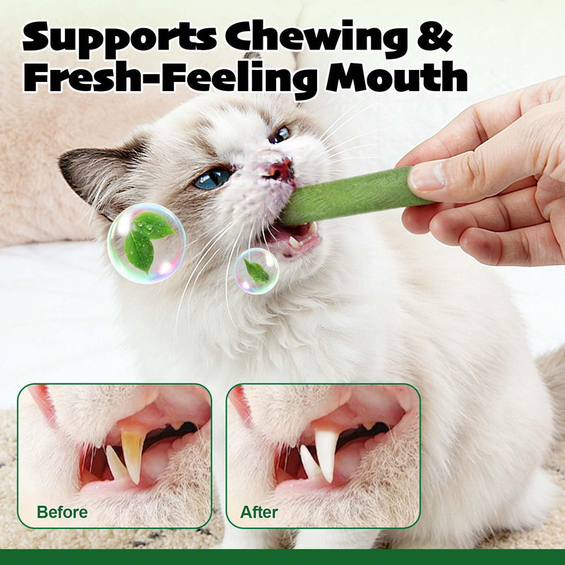 60g Cat Grass Stick, Freezed Dried Cat Grass Sticks Snacks for Teeth Cleaning and Hairball Removal, Natural Chicken Flavored 2.11 Ounce (Pack of 1)