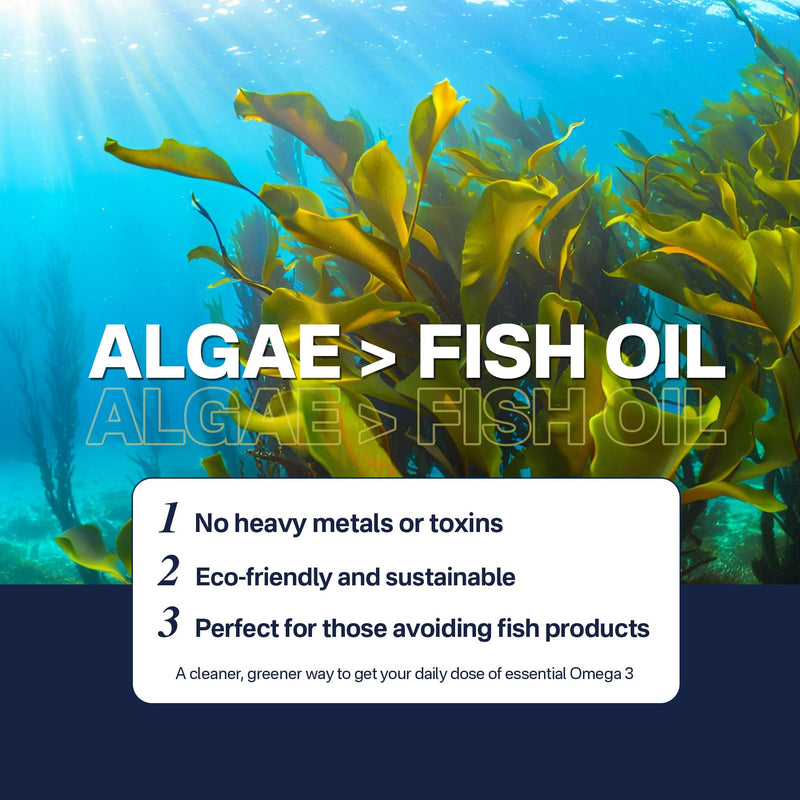 Algae Oil Omega 3 Supplement, Plant-Based EPA & DHA Fish Oil Alternative with Methylated B12, B6, B9, Vitamin E - Vegan Softgels for Brain, Energy, Immune Support for Women & Men, Non-GMO, 240 Count 120 Count (Pack of 2)