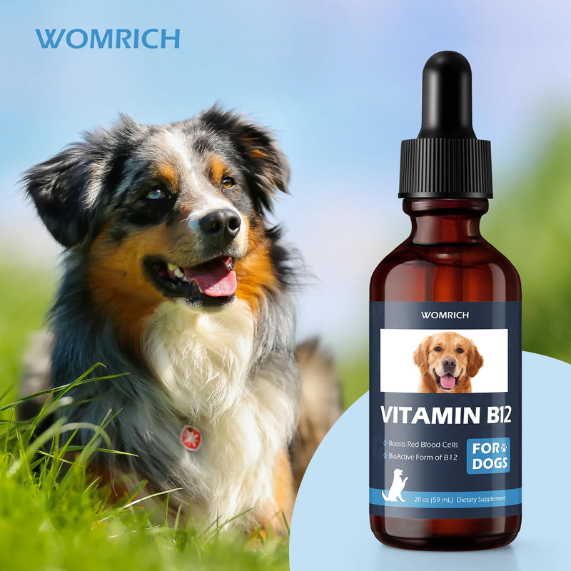 Appetite Stimulant Vitamin B12 for Dogs | Methylcobalamin (Methyl B12) | Treatment of EPI in Dogs Boosts Red Blood Cell Formation, Energy, Nervous System, Treats Pancreatitis | 2 fl oz