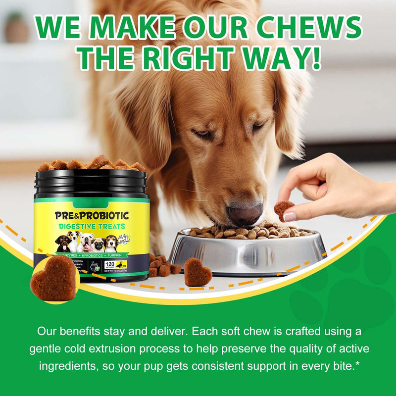 Probiotics for Dogs, 120 Soft Chews with Pumpkin, Flaxseed & Prebiotics | Digestive Health, Gut Balance, Itch Relief, Immune Support, Skin & Coat Care | Duck Flavor, All Breeds & Sizes 120pcs