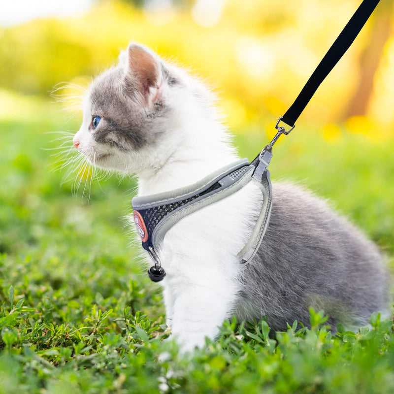 Adjustable Cat Harness Set with Leash, Soft Harness Cat Harness with Reflective Strips Leash Escape-Proof Breathable Cat Leash with Harness for Cats M & S Black - BeesActive Australia