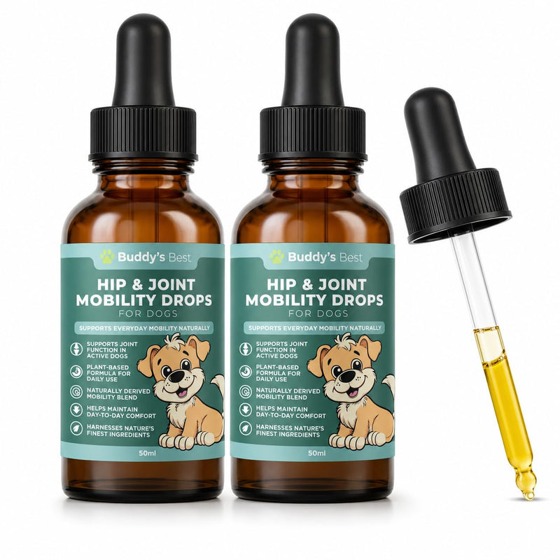 BUDDY'S BEST Twin Pack Natural Joint Support for Dogs – With Flaxseed, Hemp, Ginger & Turmeric Oils – Helps Maintain Mobility & Flexibility – Supports Overall Well-being – 50ml Pack of 2