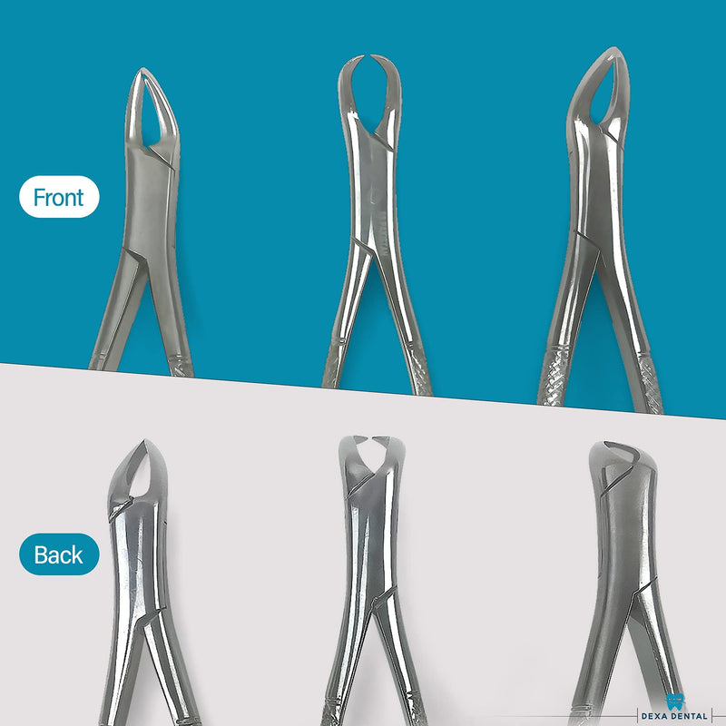 Heavy Duty Dental Extracting Forceps # 150# 151# 23, Apical Forceps, Cowhorn Forceps, Lower Molars, Atraumair - 3 Pcs #150+151+23 - BeesActive Australia