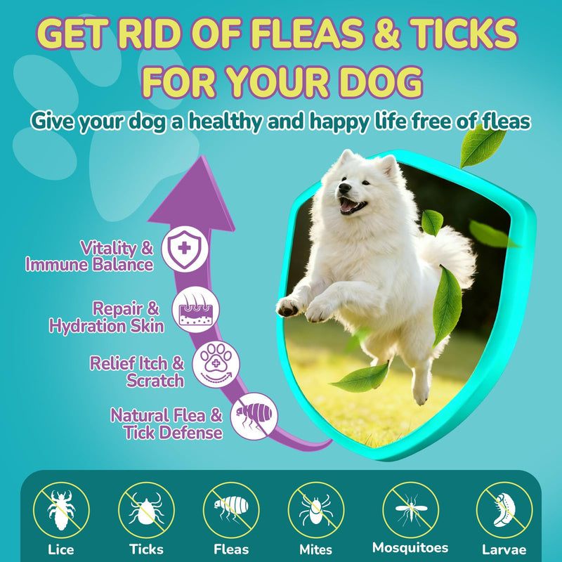 Woyamay Dog Flea Care Bundle – Flea Prevention Soft Chews + Flea & Itch Relief Chews, Skin, Coat & Immune Support, Anti-Itch, Daily Oral Flea Treatment for Dogs