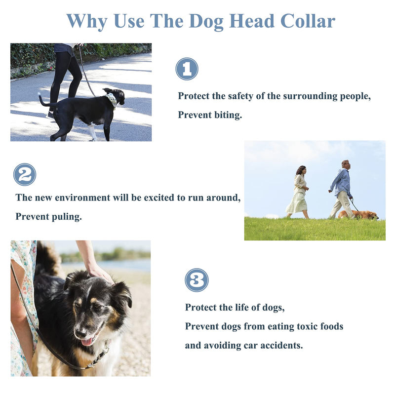 ILEPARK dog halter with padded fabric, halter collar for dogs, adjustable and pulling prevention. (L,Black) L Black - BeesActive Australia