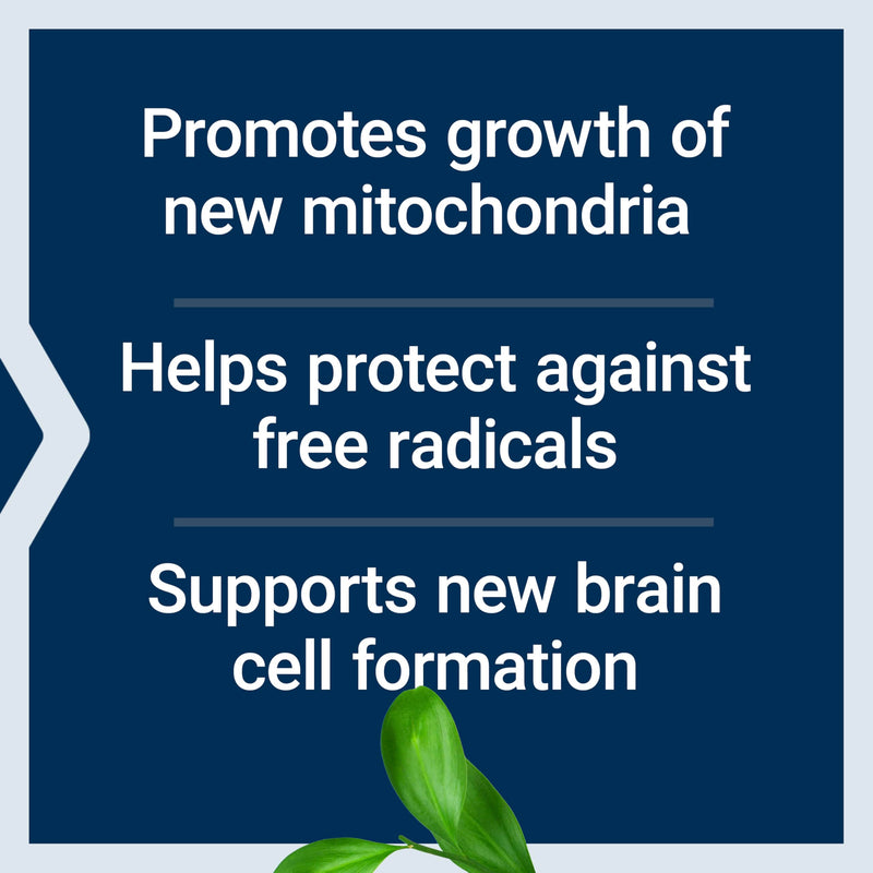 Life Extension Mitochondrial Basics with PQQ, L-Taurine, R-lipoic Acid, foundational Supplement for Cellular Energy Production, Brain and Heart Health, Gluten-Free, Non-GMO, Vegetarian, 30 Capsules | Foundational Supplement with L-Taurine & R-Lipoic Ac...