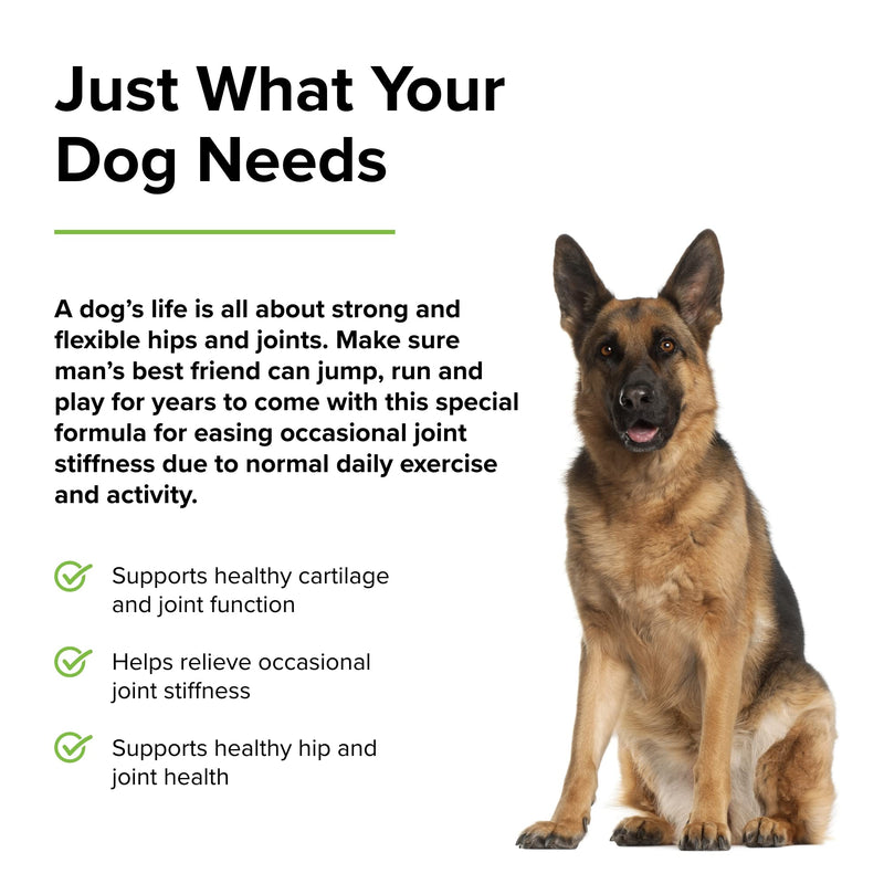 Terry Naturally Animal Health Joint & Hip Formula - 60 Chewable Wafers - Supports Joint Health, Flexibility, Comfort & Mobility - Canine Only - BeesActive Australia