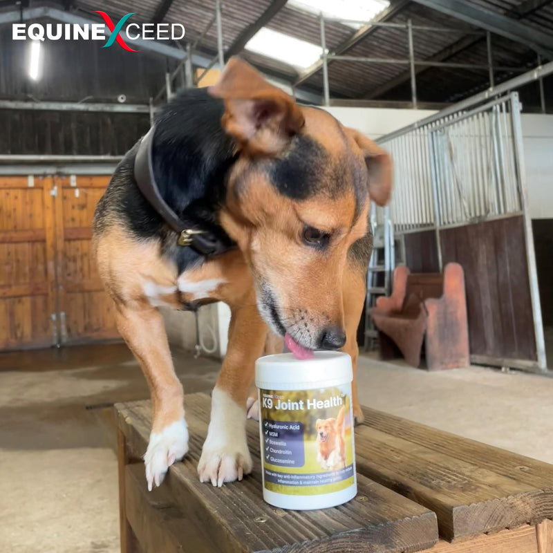 K9 Joint Health™ 90 Scoops - Joint Supplement for Adult/Senior dogs - Stiffness, hip & joint discomfort 144 Grams