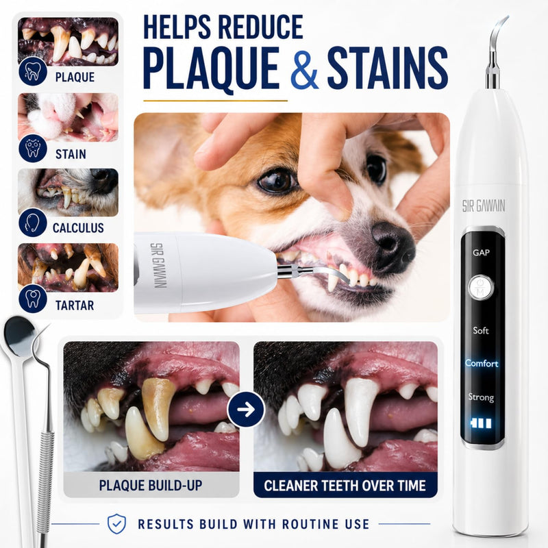 SIRGAWAIN Pet Ultrasonic Dental Cleaner — Plaque, Tartar & Stains Remover, 4 Tips, 3 Modes, LED, Contact-Activated & Smart Touch Protection, Complete Cleaning Kit for Dogs & Cats White