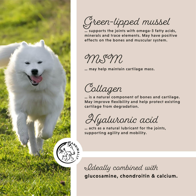 Annimally Joint Support Powder with Green Lipped Mussel for Dogs 300 g - Supplement for All Breeds with Collagen, Chondroitin & MSM, Made in Germany